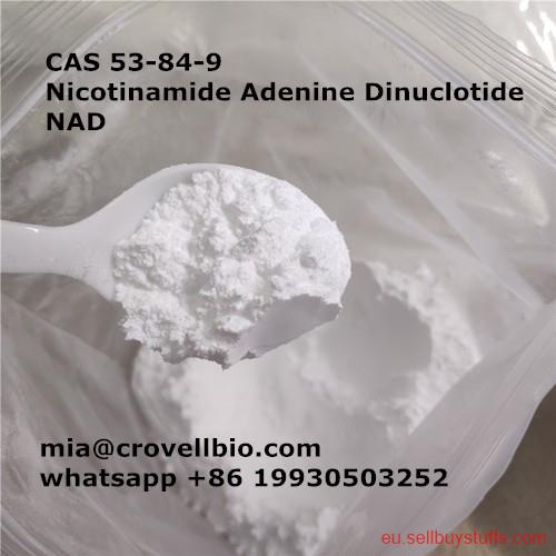 second hand/new: CAS 53-84-9     Nicotinamide Adenine Dinuclotide   NAD  ( mia@crovellbio.com  whatsapp +86 19930503252 wickr daisylang 