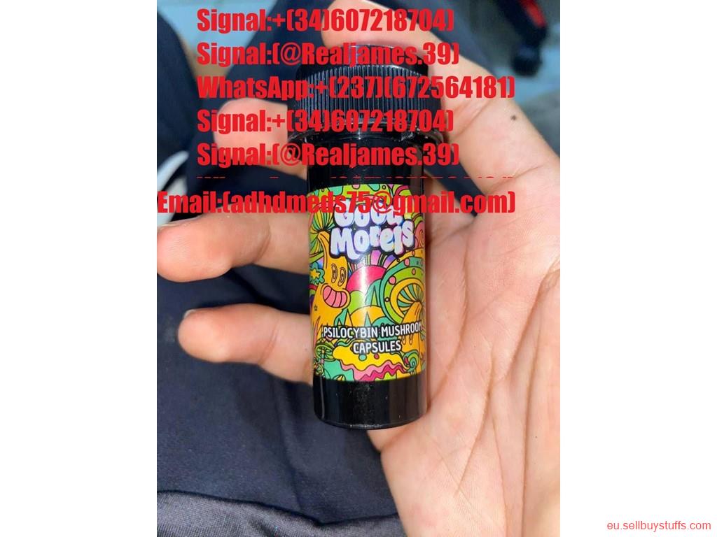 second hand/new: WhatsApp:+(237)672564181)We sell the highest-quality DMT vape cartridges, LSD edibles, and Psilocybin chocolate bars for microdosing, 