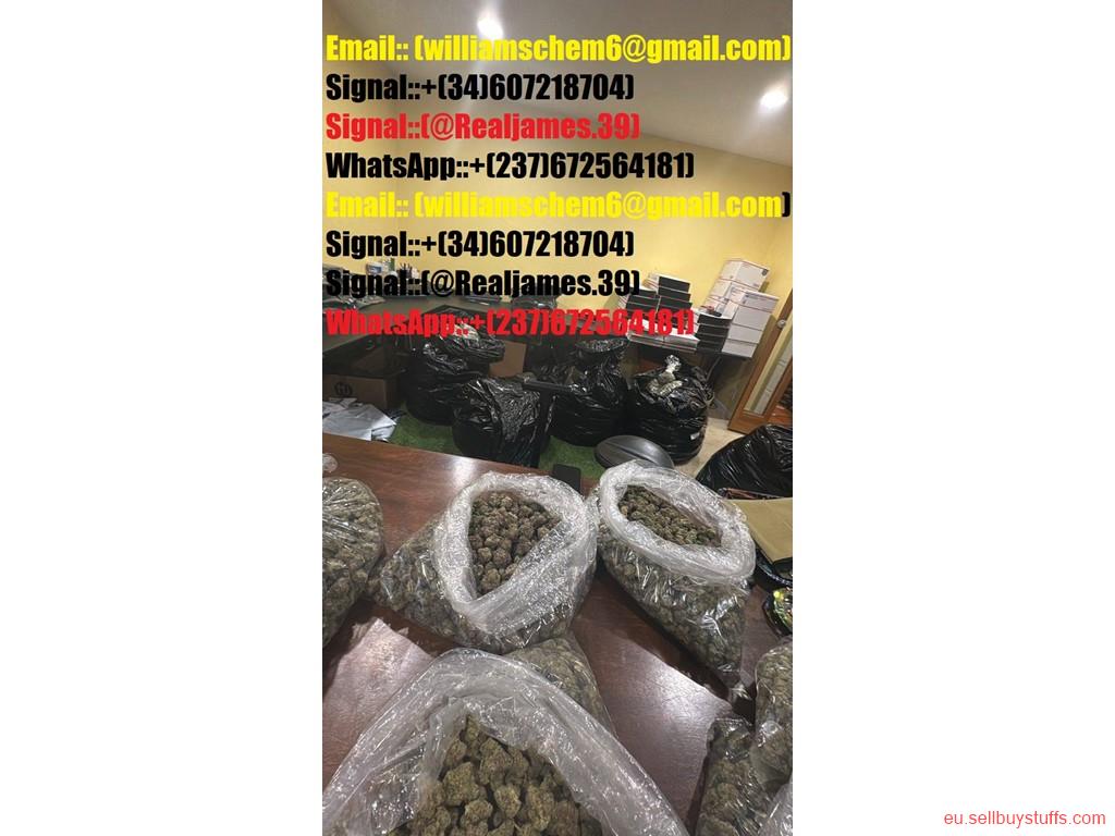 second hand/new:  Buy diazepam, tramadol, Xanax, DMT, Wax,6CLADBA,5FAEB2201, Nembutal, Bromonordiazepam, Lorazepam, LSD, shrooms, Suboxone, ETC
